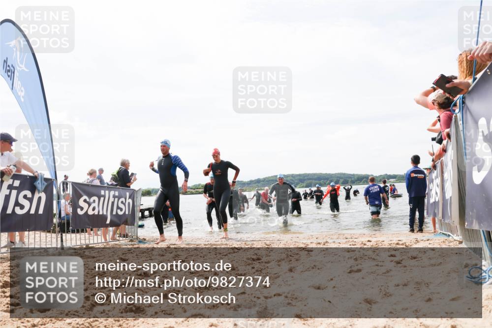 21.06.2026 - Viking Triathlon Michael Strokosch http://msf.ph/oto/9827374 21.06.2026 10:45:03 Schwimmen 33, 36, 276, 308, 329, 350, 369, 415, 577, 658, 668 meine-sportfotos.de