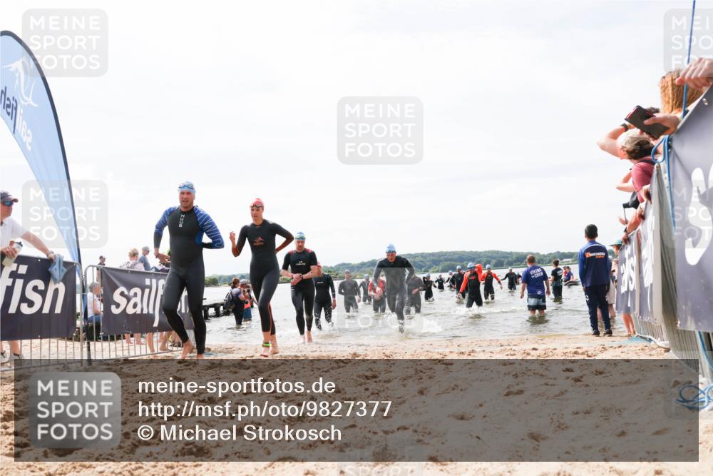 21.06.2026 - Viking Triathlon Michael Strokosch http://msf.ph/oto/9827377 21.06.2026 10:45:04 Schwimmen 33, 36, 276, 308, 329, 350, 369, 415, 577, 658, 668 meine-sportfotos.de