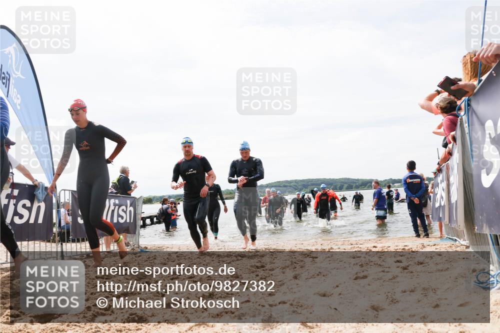 21.06.2026 - Viking Triathlon Michael Strokosch http://msf.ph/oto/9827382 21.06.2026 10:45:06 Schwimmen 33, 36, 276, 308, 310, 329, 345, 369, 415, 445, 577, 658, 668 meine-sportfotos.de