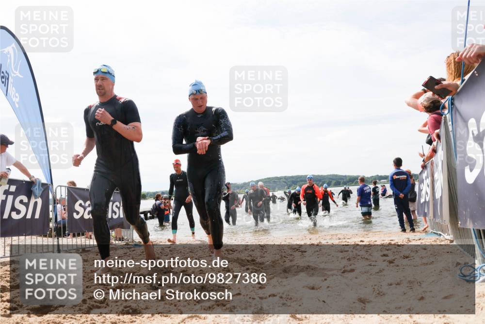 21.06.2026 - Viking Triathlon Michael Strokosch http://msf.ph/oto/9827386 21.06.2026 10:45:07 Schwimmen 33, 36, 151, 276, 308, 310, 329, 345, 369, 415, 445, 577, 658, 668 meine-sportfotos.de
