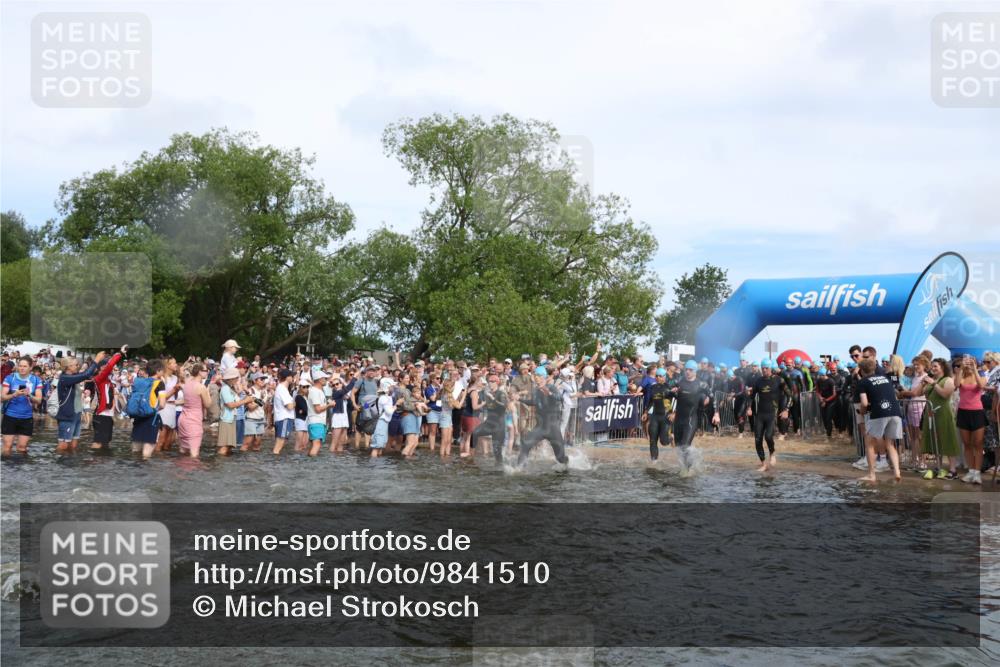 21.06.2026 - Viking Triathlon Michael Strokosch http://msf.ph/oto/9841510 21.06.2026 10:00:46 Schwimmen 46, 104, 119, 176, 371, 426, 441, 453, 466, 548, 565, 569, 620, 626, 643 meine-sportfotos.de