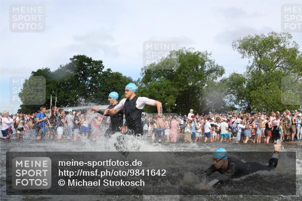 21.06.2026 - Viking Triathlon Michael Strokosch http://msf.ph/oto/9841642 21.06.2026 10:01:09 Schwimmen 5, 14, 65, 89, 169, 180, 249, 270, 280, 337, 342, 383, 447, 486, 527 meine-sportfotos.de