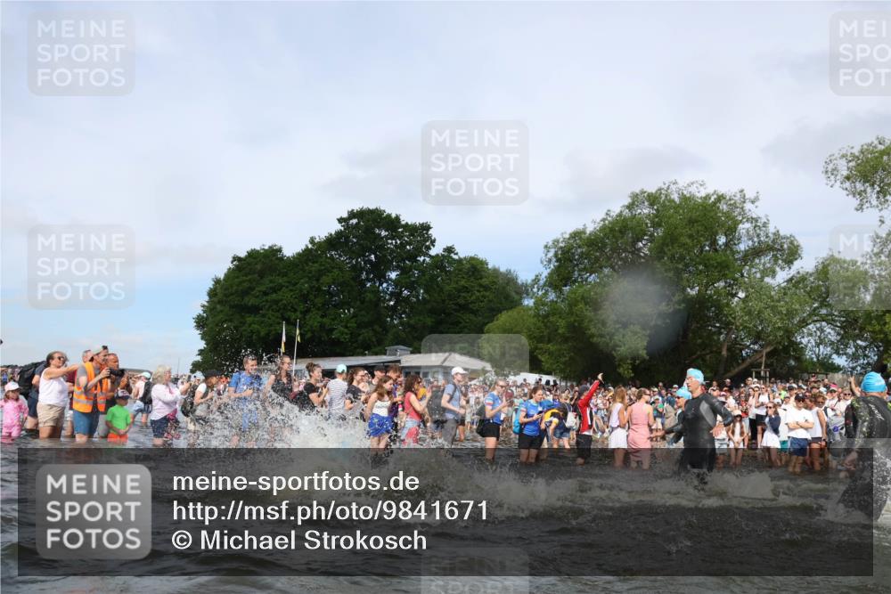 21.06.2026 - Viking Triathlon Michael Strokosch http://msf.ph/oto/9841671 21.06.2026 10:01:14 Schwimmen 5, 18, 65, 89, 114, 131, 169, 242, 270, 271, 280, 342, 383, 447, 486 meine-sportfotos.de
