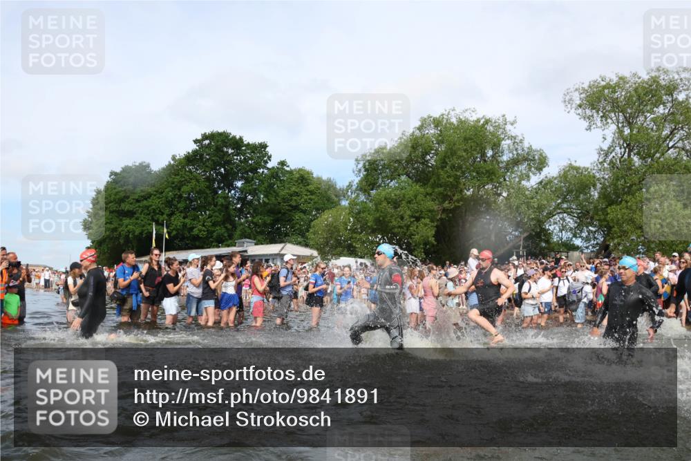 21.06.2026 - Viking Triathlon Michael Strokosch http://msf.ph/oto/9841891 21.06.2026 10:01:54 Schwimmen 30, 55, 221, 238, 265, 343, 380, 391, 394, 543, 606, 621, 644, 648, 664 meine-sportfotos.de