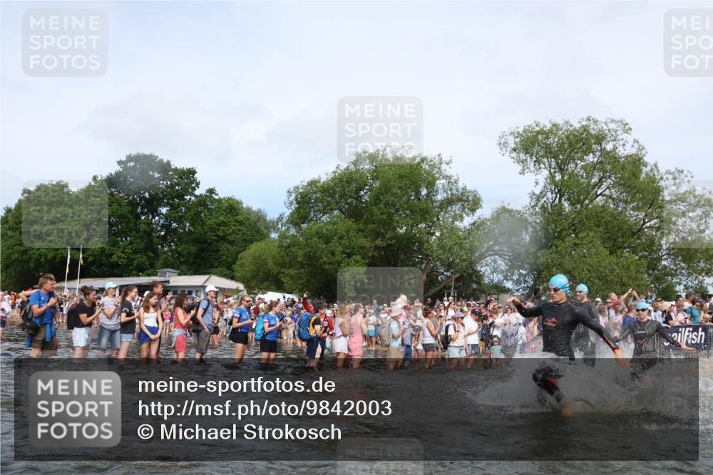 21.06.2026 - Viking Triathlon Michael Strokosch http://msf.ph/oto/9842003 21.06.2026 10:02:13 Schwimmen 43, 87, 90, 102, 152, 154, 226, 410, 438, 446, 501, 524, 536, 537, 625, 660 meine-sportfotos.de