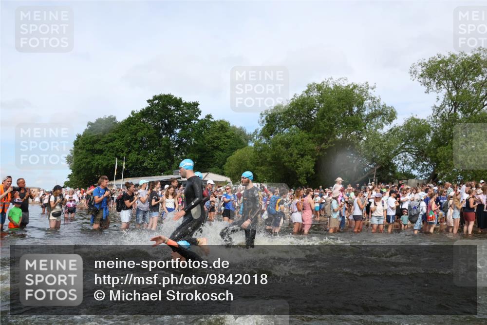 21.06.2026 - Viking Triathlon Michael Strokosch http://msf.ph/oto/9842018 21.06.2026 10:02:16 Schwimmen 47, 87, 90, 102, 136, 152, 154, 410, 438, 490, 501, 536, 537, 655, 660 meine-sportfotos.de
