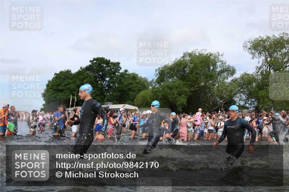 21.06.2026 - Viking Triathlon Michael Strokosch http://msf.ph/oto/9842170 21.06.2026 10:02:42 Schwimmen 16, 83, 99, 100, 186, 372, 386, 440, 462, 485, 513, 560, 579, 636, 653 meine-sportfotos.de