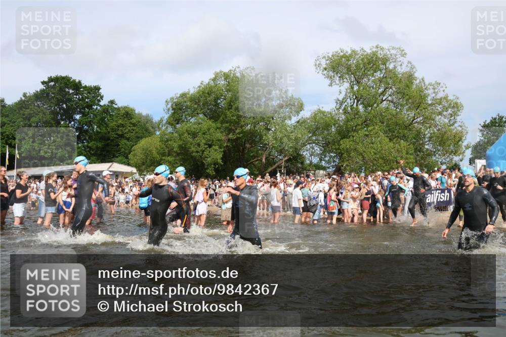 21.06.2026 - Viking Triathlon Michael Strokosch http://msf.ph/oto/9842367 21.06.2026 10:03:16 Schwimmen 49, 58, 68, 170, 200, 202, 208, 348, 352, 356, 404, 419, 455, 467, 487 meine-sportfotos.de