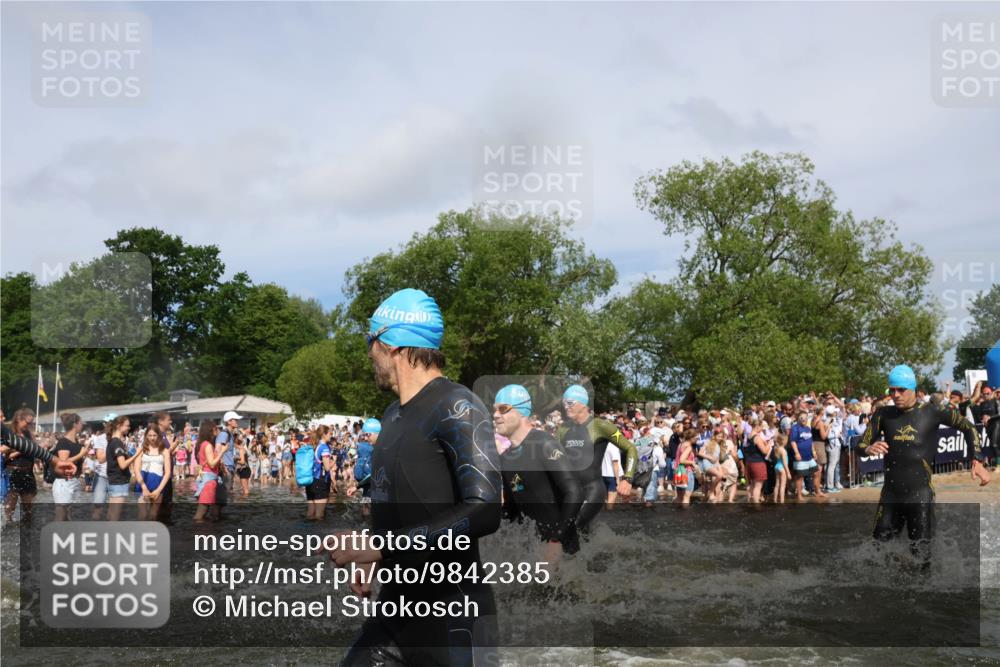 21.06.2026 - Viking Triathlon Michael Strokosch http://msf.ph/oto/9842385 21.06.2026 10:03:19 Schwimmen 58, 68, 118, 170, 202, 208, 328, 352, 364, 419, 455, 467, 487, 556, 667 meine-sportfotos.de