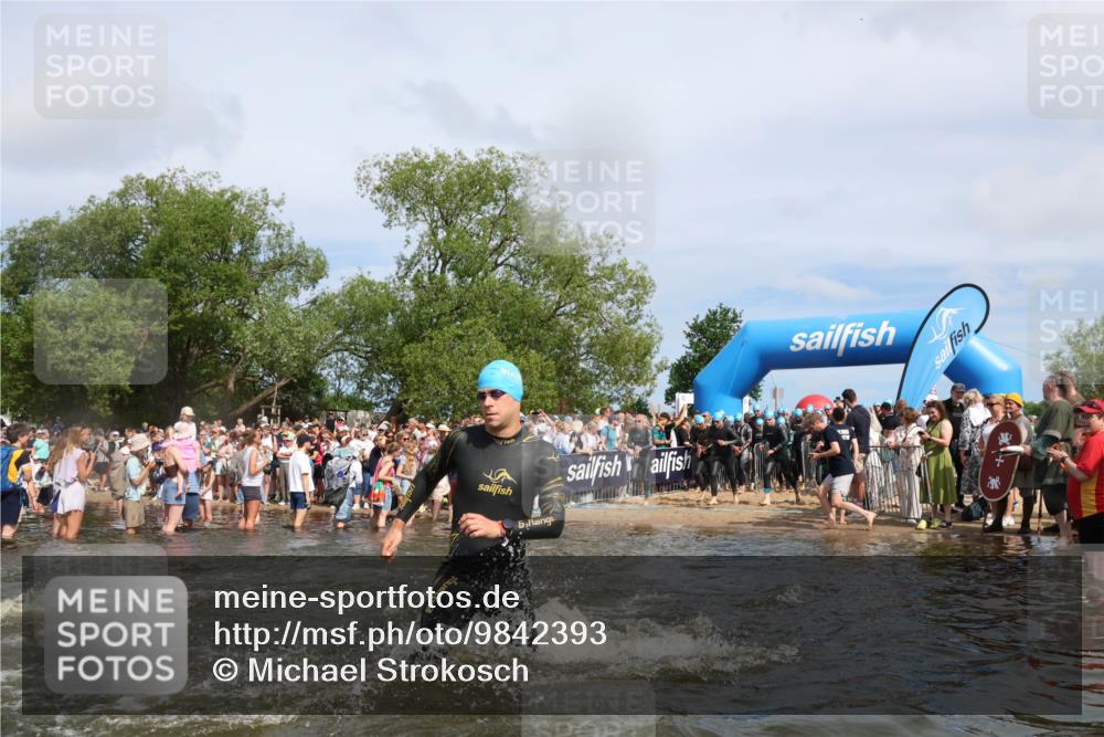 21.06.2026 - Viking Triathlon Michael Strokosch http://msf.ph/oto/9842393 21.06.2026 10:03:21 Schwimmen 58, 68, 118, 170, 202, 208, 328, 352, 364, 419, 455, 467, 487, 556, 667 meine-sportfotos.de