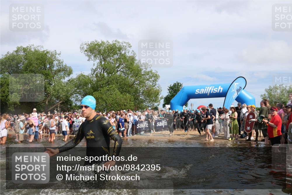 21.06.2026 - Viking Triathlon Michael Strokosch http://msf.ph/oto/9842395 21.06.2026 10:03:21 Schwimmen 58, 68, 118, 170, 202, 208, 328, 352, 364, 419, 455, 467, 487, 556, 667 meine-sportfotos.de