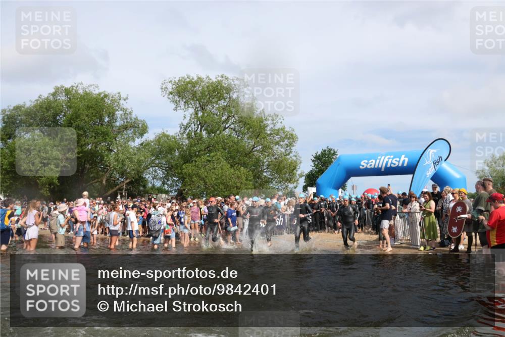 21.06.2026 - Viking Triathlon Michael Strokosch http://msf.ph/oto/9842401 21.06.2026 10:03:22 Schwimmen 58, 68, 84, 118, 170, 202, 208, 328, 352, 364, 419, 455, 467, 487, 556, 667 meine-sportfotos.de