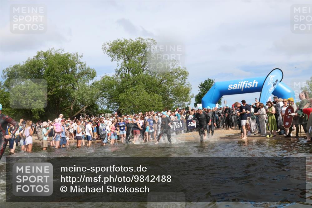 21.06.2026 - Viking Triathlon Michael Strokosch http://msf.ph/oto/9842488 21.06.2026 10:03:41 Schwimmen 53, 95, 137, 144, 229, 251, 323, 327, 340, 423, 436, 450, 458, 521, 559 meine-sportfotos.de