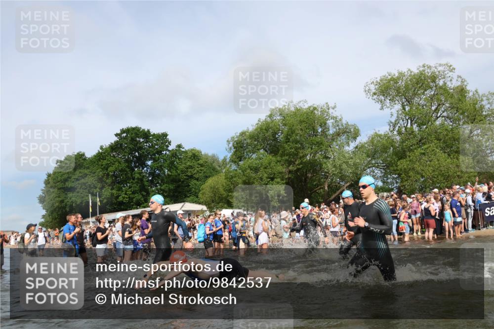 21.06.2026 - Viking Triathlon Michael Strokosch http://msf.ph/oto/9842537 21.06.2026 10:03:50 Schwimmen 137, 144, 267, 268, 287, 291, 339, 436, 450, 521, 531, 552, 554, 608, 649 meine-sportfotos.de