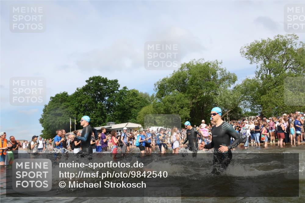 21.06.2026 - Viking Triathlon Michael Strokosch http://msf.ph/oto/9842540 21.06.2026 10:03:51 Schwimmen 137, 144, 267, 268, 287, 291, 339, 436, 450, 521, 531, 552, 554, 608, 649 meine-sportfotos.de