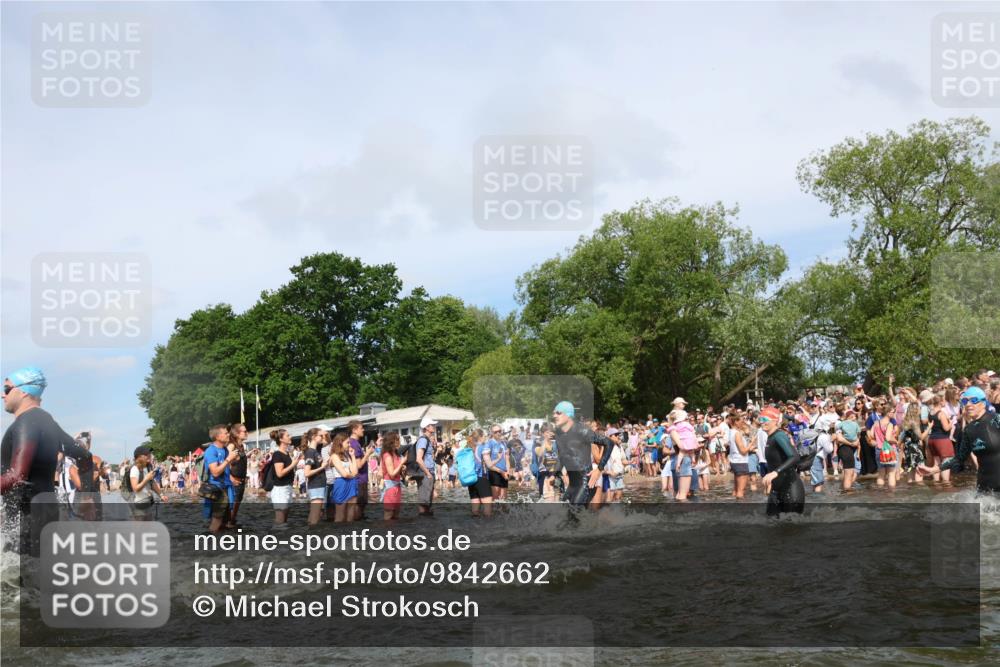 21.06.2026 - Viking Triathlon Michael Strokosch http://msf.ph/oto/9842662 21.06.2026 10:04:16 Schwimmen 96, 205, 213, 227, 239, 243, 256, 269, 377, 397, 400, 411, 496, 526, 666 meine-sportfotos.de