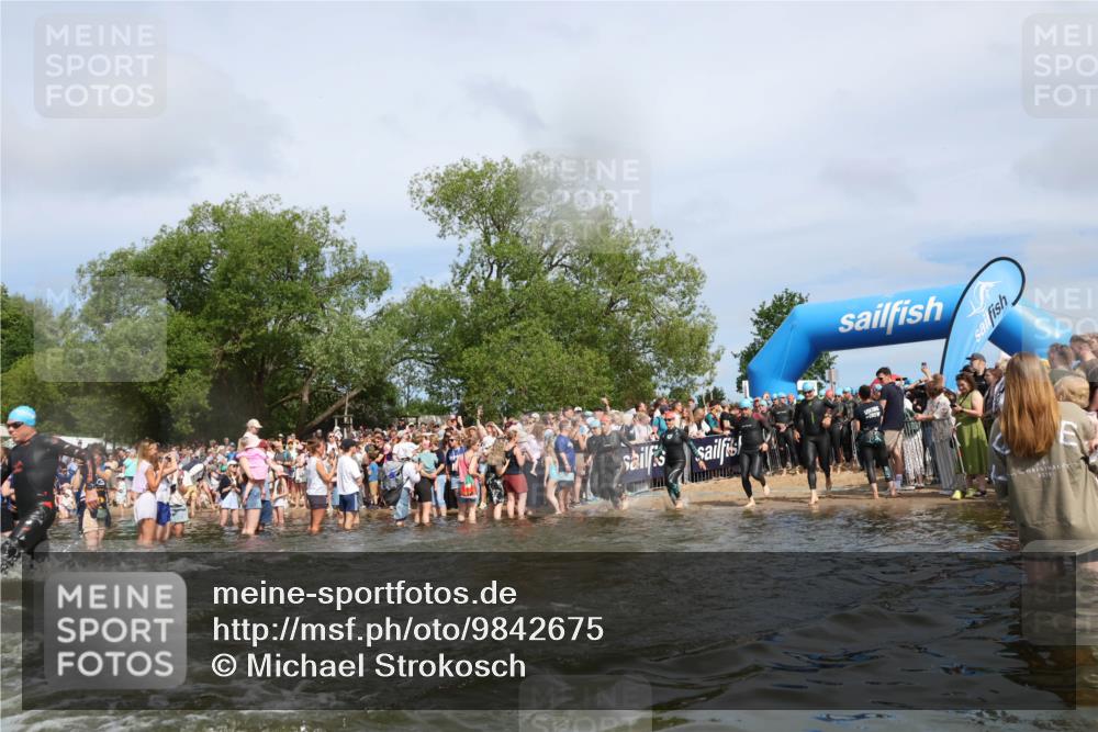 21.06.2026 - Viking Triathlon Michael Strokosch http://msf.ph/oto/9842675 21.06.2026 10:04:21 Schwimmen 96, 132, 179, 205, 213, 227, 239, 241, 256, 377, 411, 526, 602, 614, 666 meine-sportfotos.de