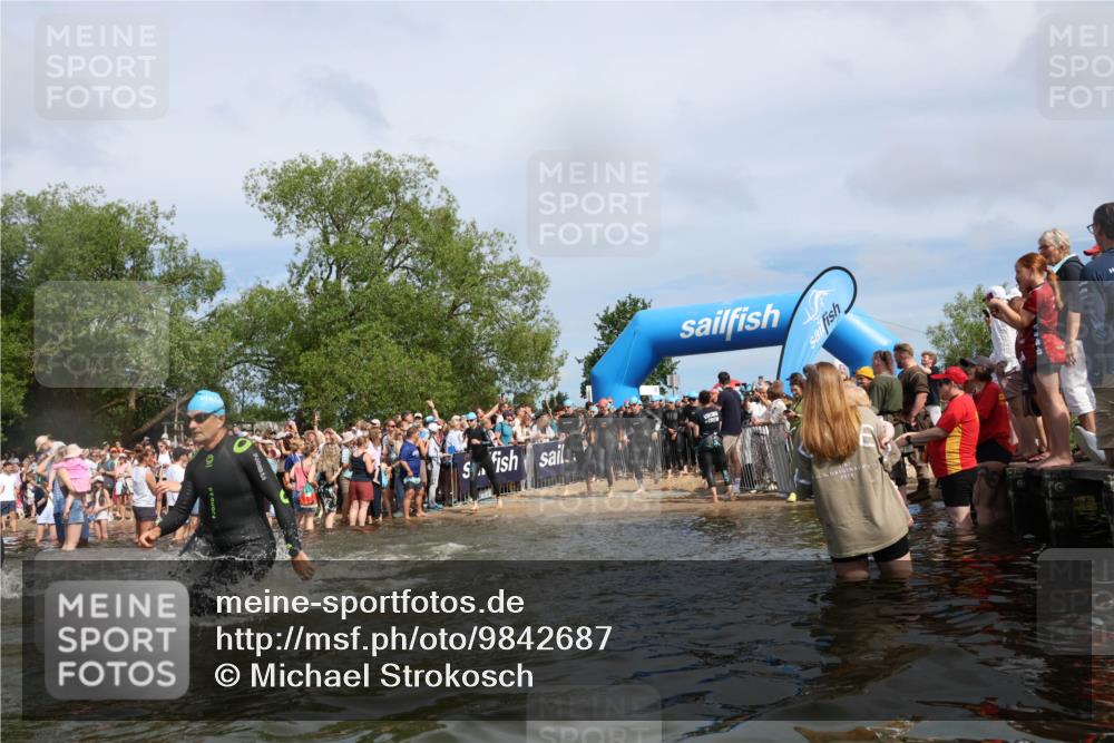21.06.2026 - Viking Triathlon Michael Strokosch http://msf.ph/oto/9842687 21.06.2026 10:04:26 Schwimmen 96, 125, 132, 179, 205, 213, 241, 256, 398, 411, 465, 590, 602, 614, 658 meine-sportfotos.de