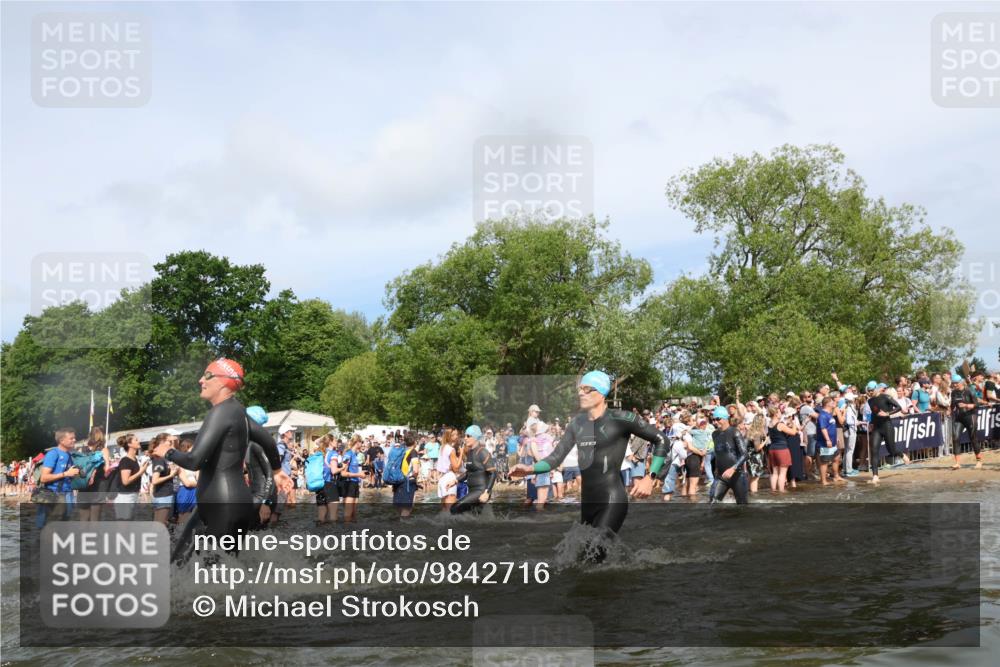 21.06.2026 - Viking Triathlon Michael Strokosch http://msf.ph/oto/9842716 21.06.2026 10:04:36 Schwimmen 63, 125, 167, 231, 232, 349, 358, 398, 425, 465, 473, 484, 511, 590, 647, 658 meine-sportfotos.de
