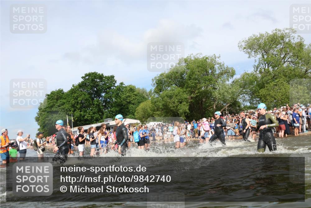 21.06.2026 - Viking Triathlon Michael Strokosch http://msf.ph/oto/9842740 21.06.2026 10:04:45 Schwimmen 22, 34, 44, 63, 150, 175, 231, 232, 247, 286, 349, 351, 355, 484, 511 meine-sportfotos.de