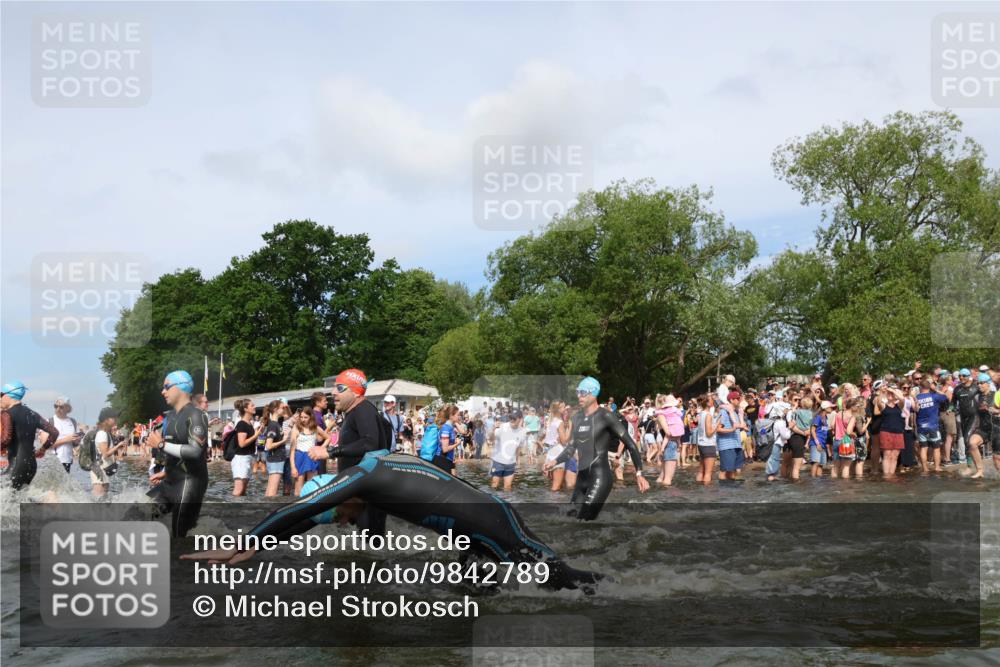21.06.2026 - Viking Triathlon Michael Strokosch http://msf.ph/oto/9842789 21.06.2026 10:05:02 Schwimmen 214, 225, 297, 304, 318, 350, 353, 442, 456, 461, 492, 497, 508, 516, 650 meine-sportfotos.de