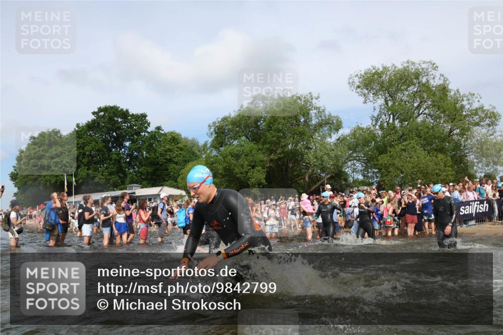 21.06.2026 - Viking Triathlon Michael Strokosch http://msf.ph/oto/9842799 21.06.2026 10:05:06 Schwimmen 165, 225, 296, 297, 301, 304, 318, 350, 370, 442, 461, 497, 516, 562, 650 meine-sportfotos.de