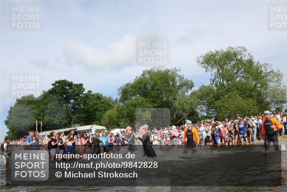 21.06.2026 - Viking Triathlon Michael Strokosch http://msf.ph/oto/9842828 21.06.2026 10:05:15 Schwimmen 33, 165, 198, 211, 296, 301, 341, 370, 472, 493, 519, 562, 601, 617, 632 meine-sportfotos.de