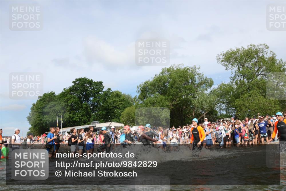 21.06.2026 - Viking Triathlon Michael Strokosch http://msf.ph/oto/9842829 21.06.2026 10:05:16 Schwimmen 33, 165, 198, 211, 296, 301, 341, 370, 472, 493, 519, 562, 601, 617, 632 meine-sportfotos.de