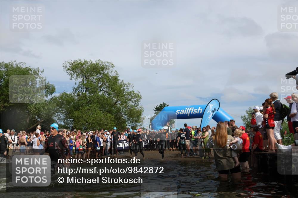 21.06.2026 - Viking Triathlon Michael Strokosch http://msf.ph/oto/9842872 21.06.2026 10:05:37 Schwimmen 88, 134, 234, 262, 276, 330, 331, 387, 399, 414, 452, 471, 482, 520, 663 meine-sportfotos.de