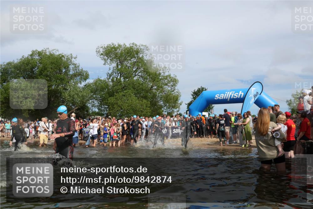 21.06.2026 - Viking Triathlon Michael Strokosch http://msf.ph/oto/9842874 21.06.2026 10:05:38 Schwimmen 134, 234, 262, 276, 387, 399, 471, 482, 520, 663 meine-sportfotos.de