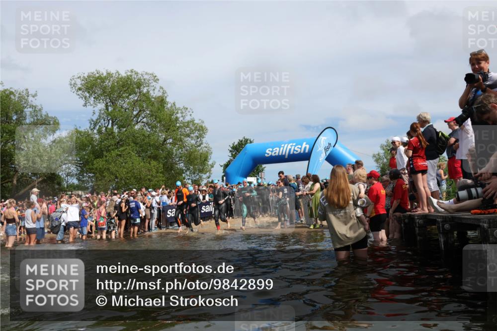 21.06.2026 - Viking Triathlon Michael Strokosch http://msf.ph/oto/9842899 21.06.2026 10:05:47 Schwimmen 45, 78, 160, 183, 193, 234, 316, 387, 393, 399, 482, 528, 567, 578, 663 meine-sportfotos.de