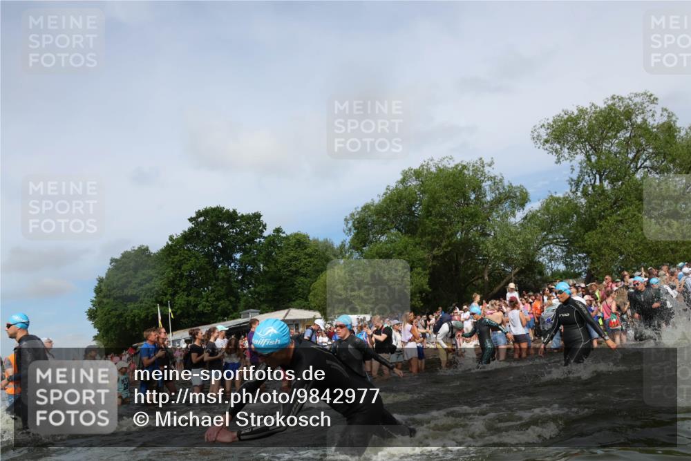 21.06.2026 - Viking Triathlon Michael Strokosch http://msf.ph/oto/9842977 21.06.2026 10:06:13 Schwimmen 41, 147, 153, 162, 173, 185, 190, 248, 273, 312, 368, 378, 405, 479, 541, 550 meine-sportfotos.de