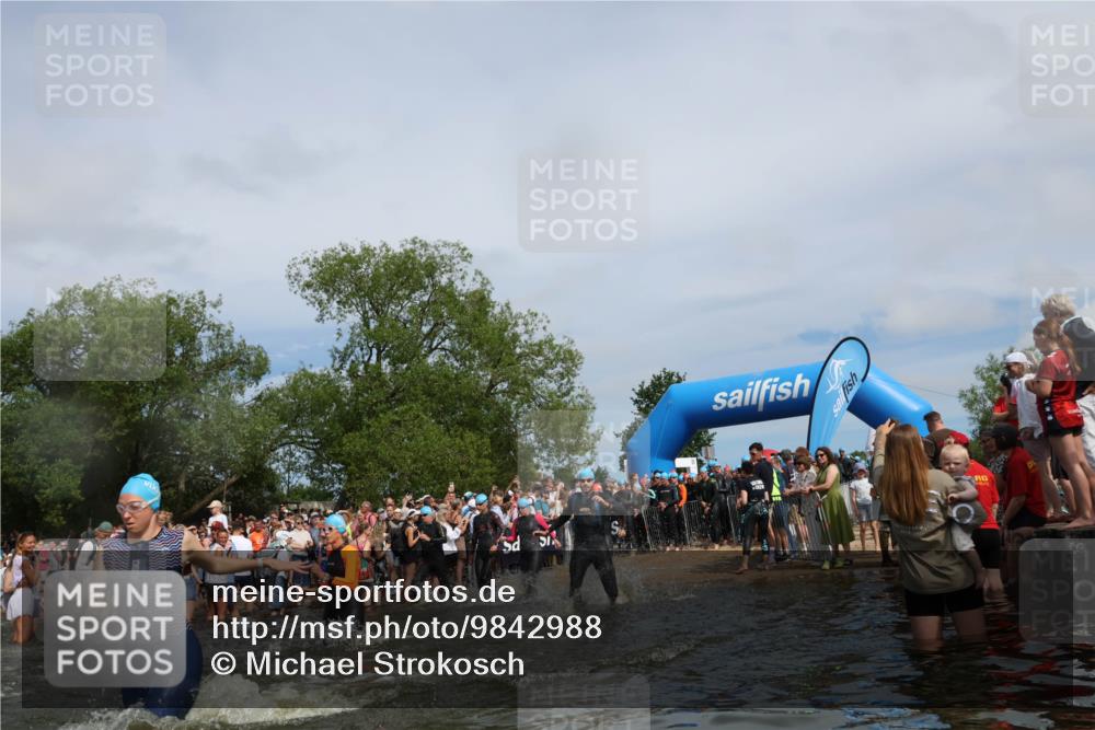 21.06.2026 - Viking Triathlon Michael Strokosch http://msf.ph/oto/9842988 21.06.2026 10:06:18 Schwimmen 41, 153, 162, 184, 190, 248, 274, 312, 368, 378, 479, 489, 533, 541, 550, 603 meine-sportfotos.de