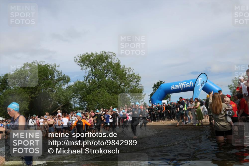 21.06.2026 - Viking Triathlon Michael Strokosch http://msf.ph/oto/9842989 21.06.2026 10:06:18 Schwimmen 41, 153, 162, 184, 190, 248, 274, 312, 368, 378, 479, 489, 533, 541, 550, 603 meine-sportfotos.de