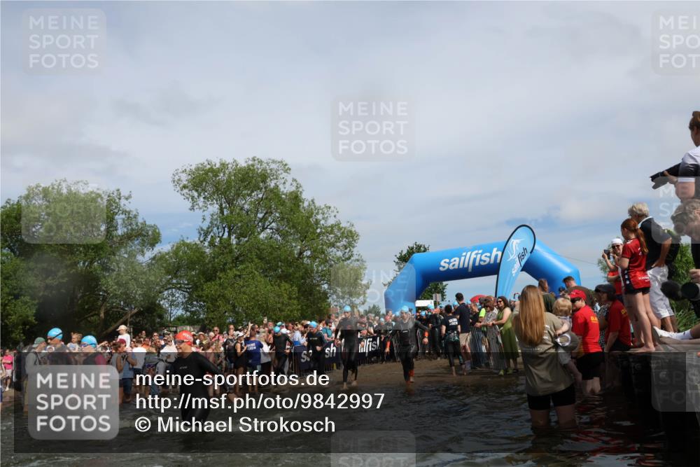21.06.2026 - Viking Triathlon Michael Strokosch http://msf.ph/oto/9842997 21.06.2026 10:06:22 Schwimmen 41, 85, 184, 190, 248, 274, 312, 378, 489, 522, 533, 539, 550, 577, 603 meine-sportfotos.de