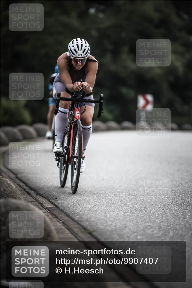 21.06.2026 - 29. Vierlanden-Triathlon H.Heesch http://msf.ph/oto/9907407 21.06.2026 09:22:20 Radfahren 118, 119, 159, 273, 274, 300 meine-sportfotos.de