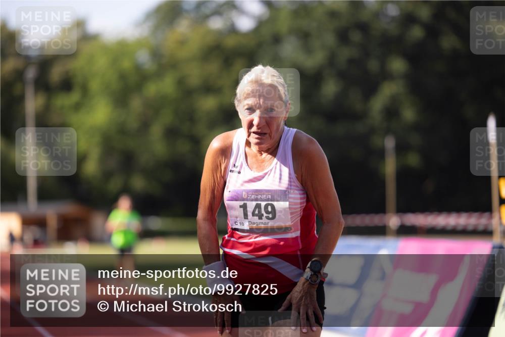 08.08.2026 - Nacht der Zehner Michael Strokosch http://msf.ph/oto/9927825 08.08.2026 16:46:20 Laufen 10, 149, 10 meine-sportfotos.de