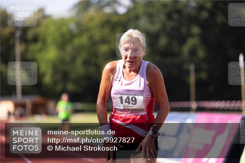 08.08.2026 - Nacht der Zehner Michael Strokosch http://msf.ph/oto/9927827 08.08.2026 16:46:20 Laufen 10, 149, 10 meine-sportfotos.de