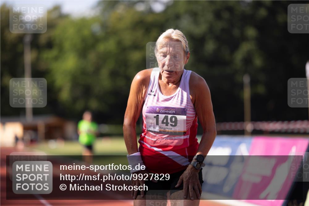 08.08.2026 - Nacht der Zehner Michael Strokosch http://msf.ph/oto/9927829 08.08.2026 16:46:20 Laufen 10, 149, 10 meine-sportfotos.de