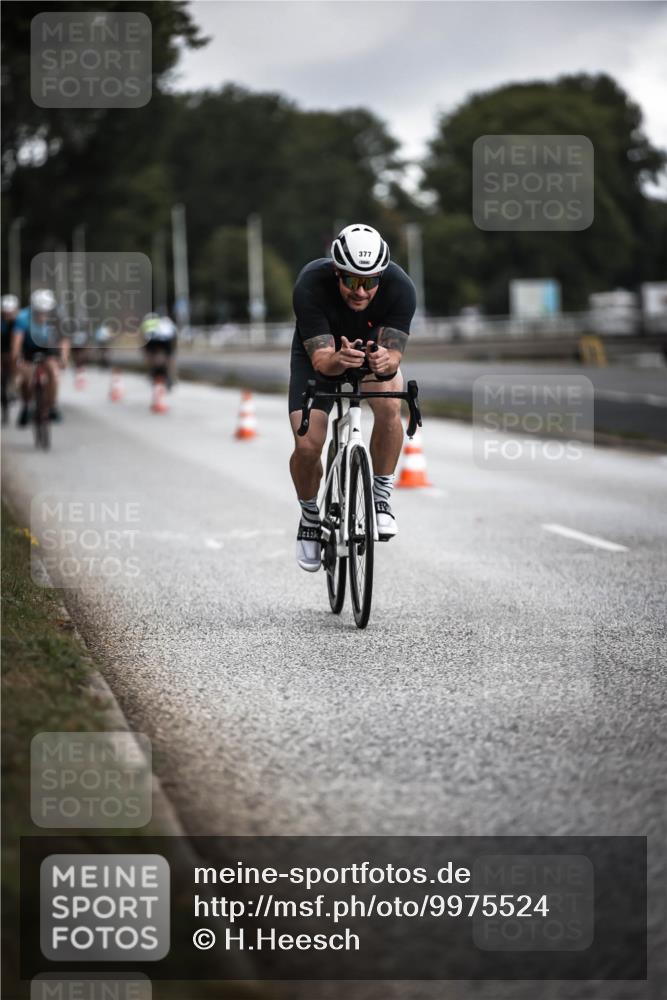 16.08.2026 - KN Förde Triathlon 2026 H.Heesch http://msf.ph/oto/9975524 16.08.2026 11:11:54 Radfahren 305, 337, 370, 373, 377, 397, 398 meine-sportfotos.de