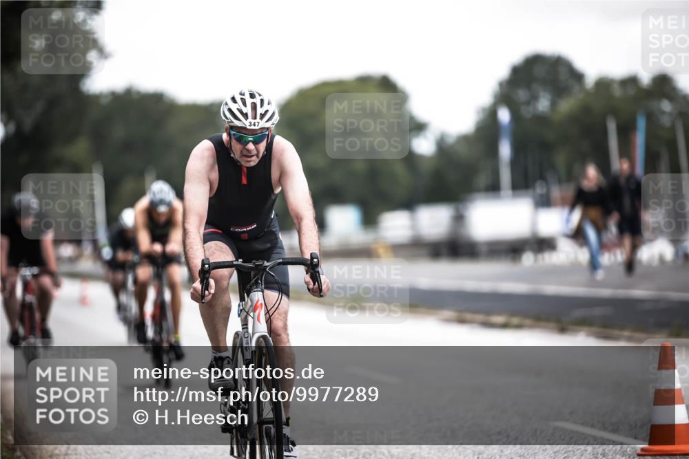 16.08.2026 - KN Förde Triathlon 2026 H.Heesch http://msf.ph/oto/9977289 16.08.2026 11:21:43 Radfahren 323, 342, 347, 365, 377, 426 meine-sportfotos.de