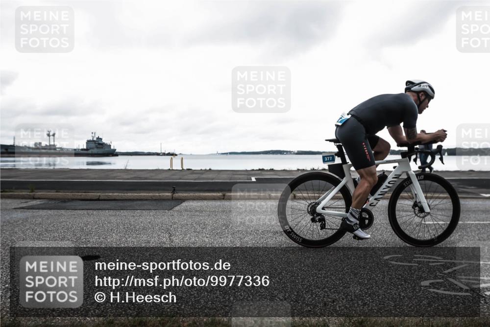 16.08.2026 - KN Förde Triathlon 2026 H.Heesch http://msf.ph/oto/9977336 16.08.2026 11:41:38 Radfahren 348, 381, 388, 414 meine-sportfotos.de