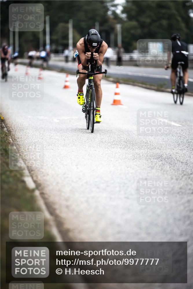 16.08.2026 - KN Förde Triathlon 2026 H.Heesch http://msf.ph/oto/9977777 16.08.2026 11:22:49 Radfahren 327, 331, 341, 373 meine-sportfotos.de