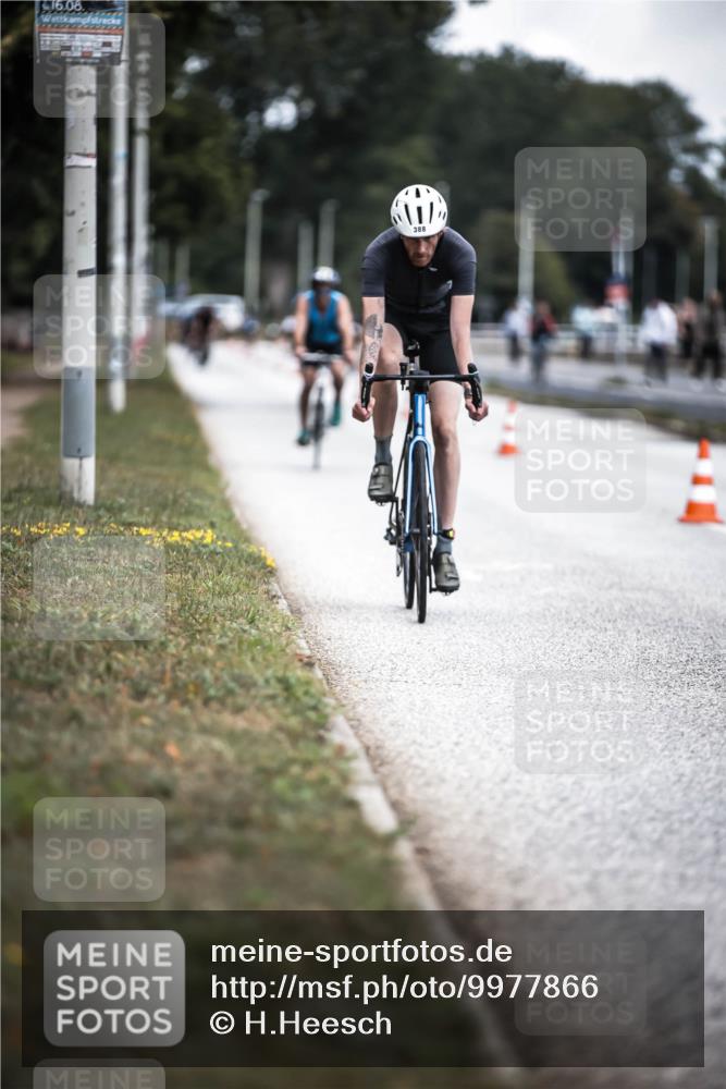 16.08.2026 - KN Förde Triathlon 2026 H.Heesch http://msf.ph/oto/9977866 16.08.2026 11:22:59 Radfahren 357, 388, 439 meine-sportfotos.de