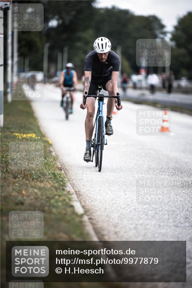 16.08.2026 - KN Förde Triathlon 2026 H.Heesch http://msf.ph/oto/9977879 16.08.2026 11:23:00 Radfahren 357, 388, 439 meine-sportfotos.de