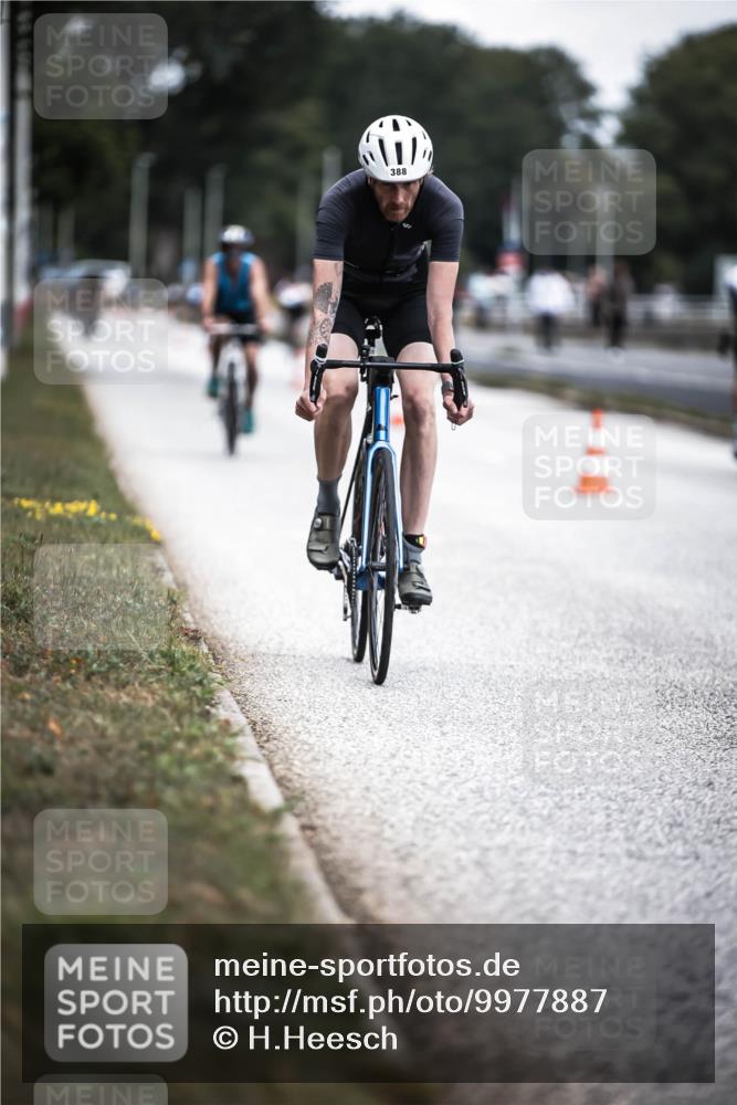 16.08.2026 - KN Förde Triathlon 2026 H.Heesch http://msf.ph/oto/9977887 16.08.2026 11:23:00 Radfahren 357, 388, 439 meine-sportfotos.de