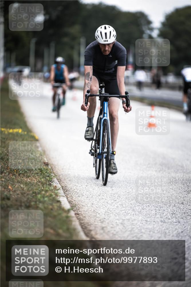 16.08.2026 - KN Förde Triathlon 2026 H.Heesch http://msf.ph/oto/9977893 16.08.2026 11:23:00 Radfahren 357, 388, 439 meine-sportfotos.de