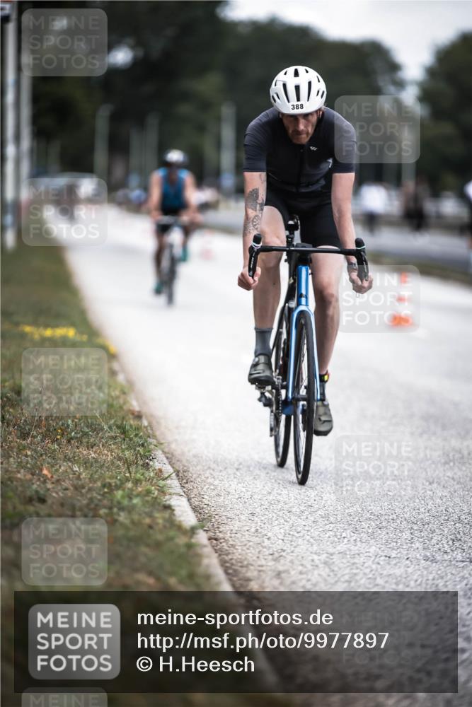16.08.2026 - KN Förde Triathlon 2026 H.Heesch http://msf.ph/oto/9977897 16.08.2026 11:23:00 Radfahren 357, 388, 439 meine-sportfotos.de