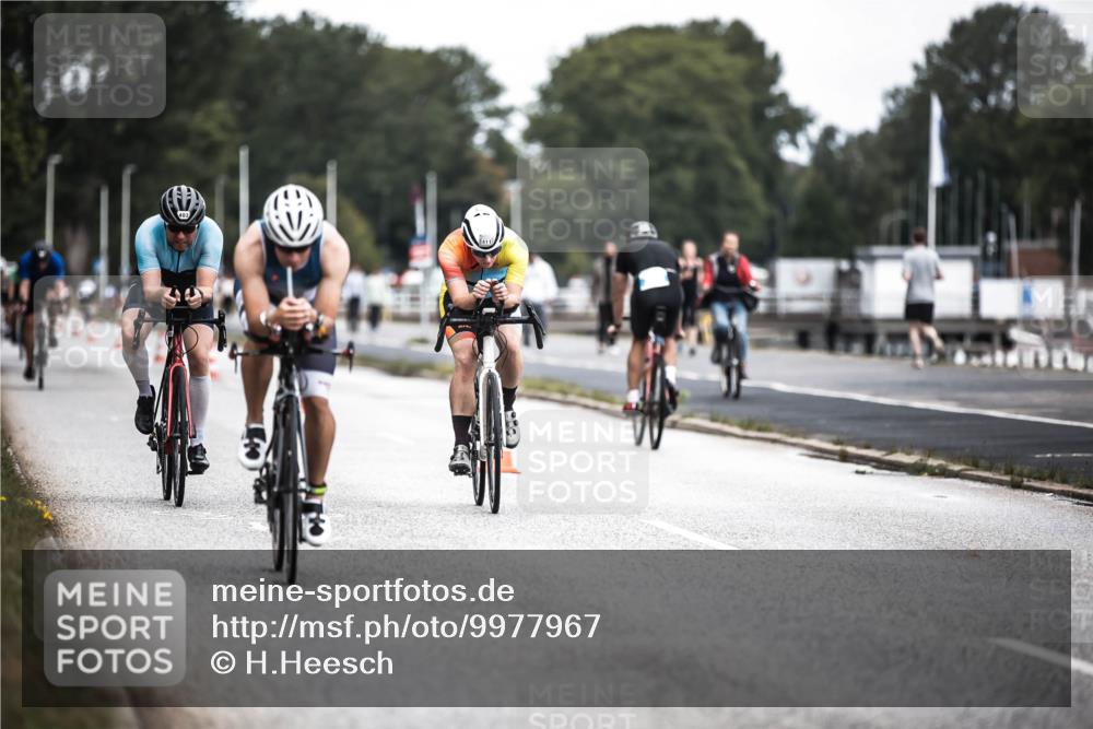 16.08.2026 - KN Förde Triathlon 2026 H.Heesch http://msf.ph/oto/9977967 16.08.2026 11:23:15 Radfahren 309, 386, 398, 403, 411 meine-sportfotos.de