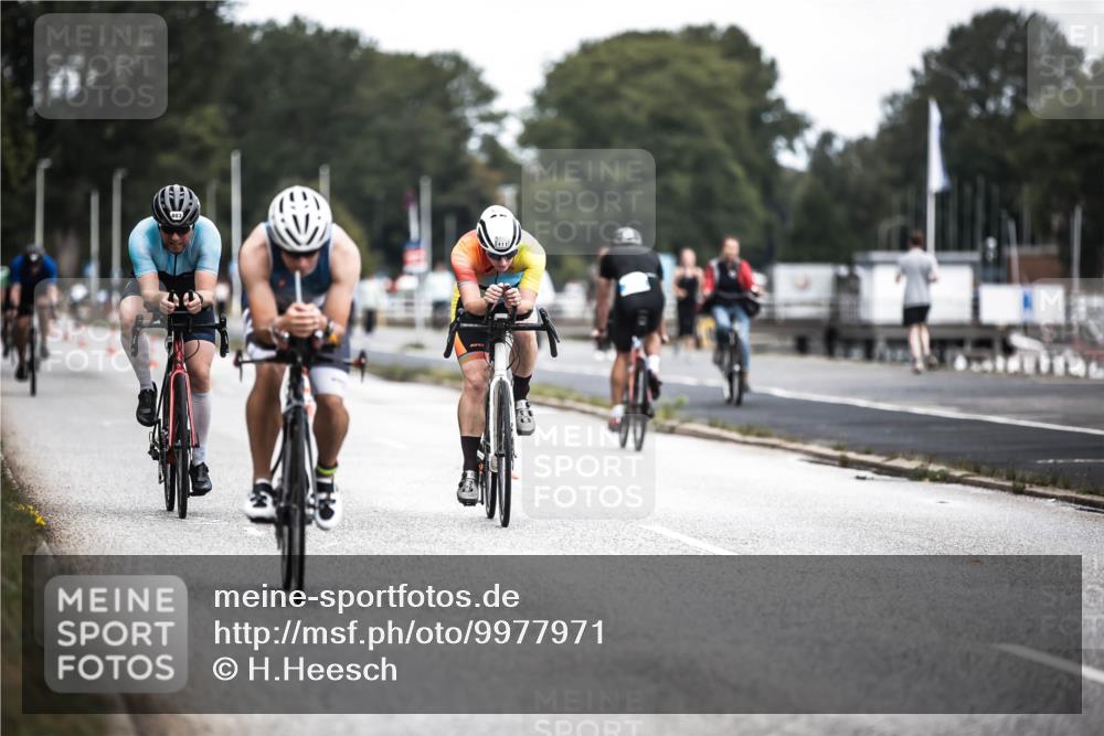 16.08.2026 - KN Förde Triathlon 2026 H.Heesch http://msf.ph/oto/9977971 16.08.2026 11:23:15 Radfahren 309, 386, 398, 403, 411 meine-sportfotos.de